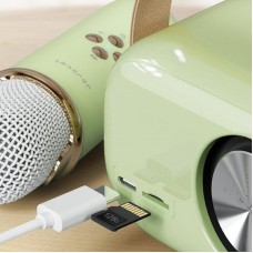 Портативна колонка-караоке з мікрофоном Зелена — купити Bluetooth музичну систему
