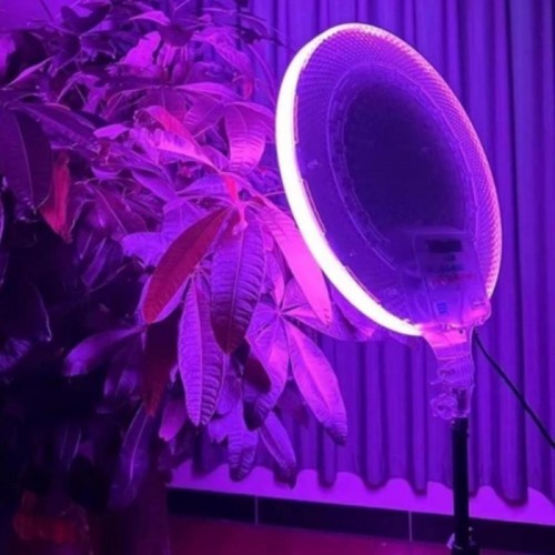 Цветная круглая RGB-LED лампа от сети + пульт, GS-450