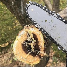 Аккумуляторная пила 24В, 12'', Chain Saw