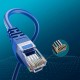 Патч-корд UTP Cat5e Lan (25м)