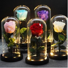 Велика троянда в колбі 20 см з LED підсвічуванням, Light Rose, на батарейках