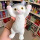 Игрушка антистресс Пушистый котик 17см