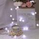 Гірлянда Лампочки від USB, 10м, 100LED, Холодний білий