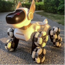 Робот собака на пульті управління DWI Robot з USB зарядкою
