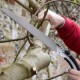 Ручна пила по дереву, складана, 35см