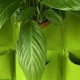 Висячие горшки из ткани на 18 карманов 102х52см