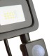 Уличный прожектор c датчиком движения (10W, 800Lm, 6500K) Ritar ZB-PGGY-10W