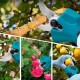 Акумуляторна ланцюгова пилка + садовий секатор 2 акумулятори, 21V