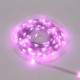 Світлодіодна стрічка RGB 10м, 100LED, від USB+пульт