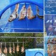 Складна сушарка для риби, грибів, сухофруктів на 5 ярусів 100х50х50см