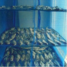 Складна сушарка на 5 ярусів для риби, грибів та фруктів 100х50х50см