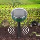Комплект 2шт Ультразвуковой отпугиватель кротов, насекомых и грызунов, Garden Pro