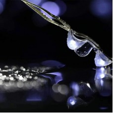 Гірлянда USB Роса 50м 500LED холодна біла + пульт управління