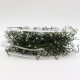 Гирлянда Роса фейерверк, от сети, 100м, 2000LED, пульт, зеленый провод, Разноцветная