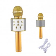 Дитячий мікрофон з караоке DM Karaoke WS-858 — бездротовий Bluetooth мікрофон для співу