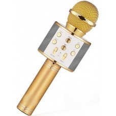 Дитячий мікрофон з караоке DM Karaoke WS-858 — бездротовий Bluetooth мікрофон для співу
