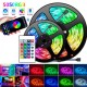 Стрічка світлодіодна 10м RGB 5050 з блоком і пультом управління 2 шт, 5+5 м