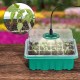 Набор для выращивания рассады с LED подсветкой, 4 лотка, от USB