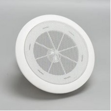 Стельові динаміки (5 дюймів) 10W, 1шт, A20