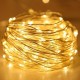 Гирлянда нить от сети, 100LED, Теплый белый
