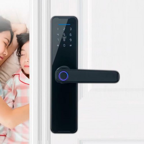 Умный дверной замок с биометрией на батарейках и USB, Bluetooth, TUYA Умный дверной замок с биометрией на батарейках и USB, Bluetooth, TUYA