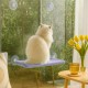 Лежанка для кота на окно 55x35см, Sunny Window Seat Cat Bed, Фиолетовый