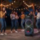 Портативная колонка + 2 микрофона, 100Вт, Bluetooth, ZXX-5560