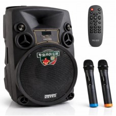 Акустическая система с двумя микрофонами, USB, Bluetooth, 12 + пульт, TEMEISHENG SL12-14