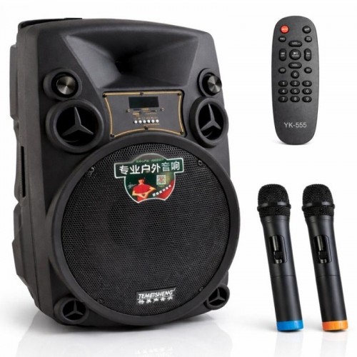 Акустическая система с двумя микрофонами, USB, Bluetooth, 12 + пульт, TEMEISHENG SL12-14
