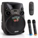 Акустическая система с двумя микрофонами, USB, Bluetooth, 12 + пульт, TEMEISHENG SL12-14
